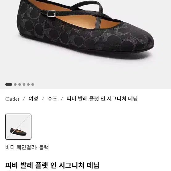 [BUNJANG] Coach Flats New / 코치 플랫슈즈 새상품