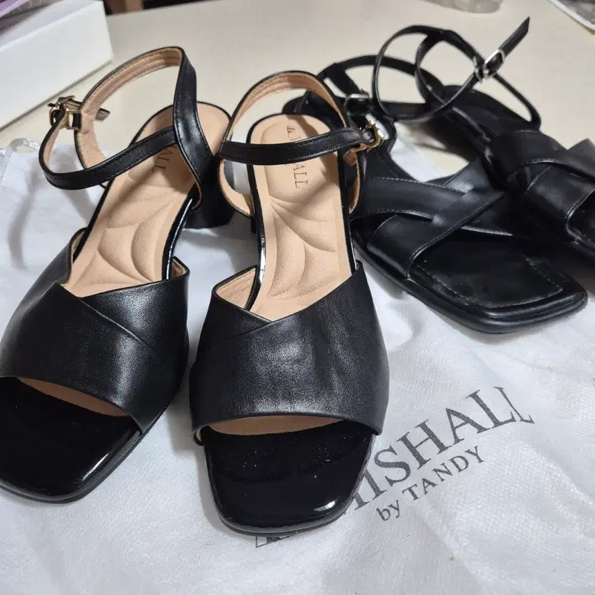 [SOLD OUT] 탠디 (새상품) 1+1