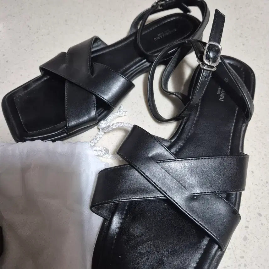 [SOLD OUT] 탠디 (새상품) 1+1