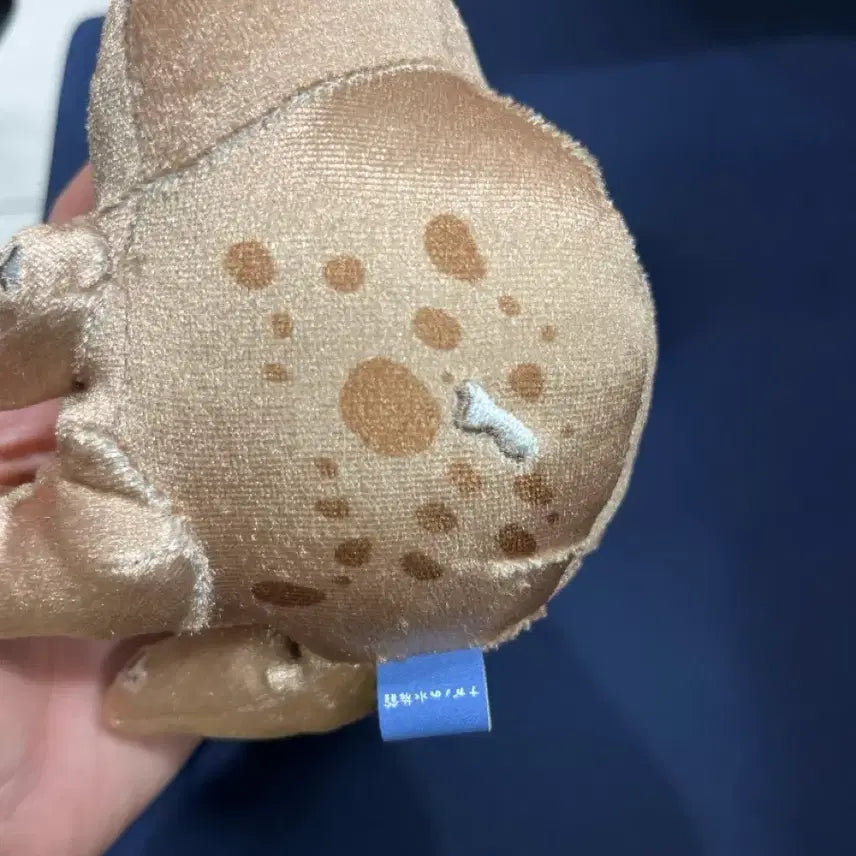 [BUNJANG] Naganomarket Salamander Plush Doll / 나가노마켓 도롱뇽 인형