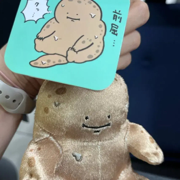 [BUNJANG] Naganomarket Salamander Plush Doll / 나가노마켓 도롱뇽 인형