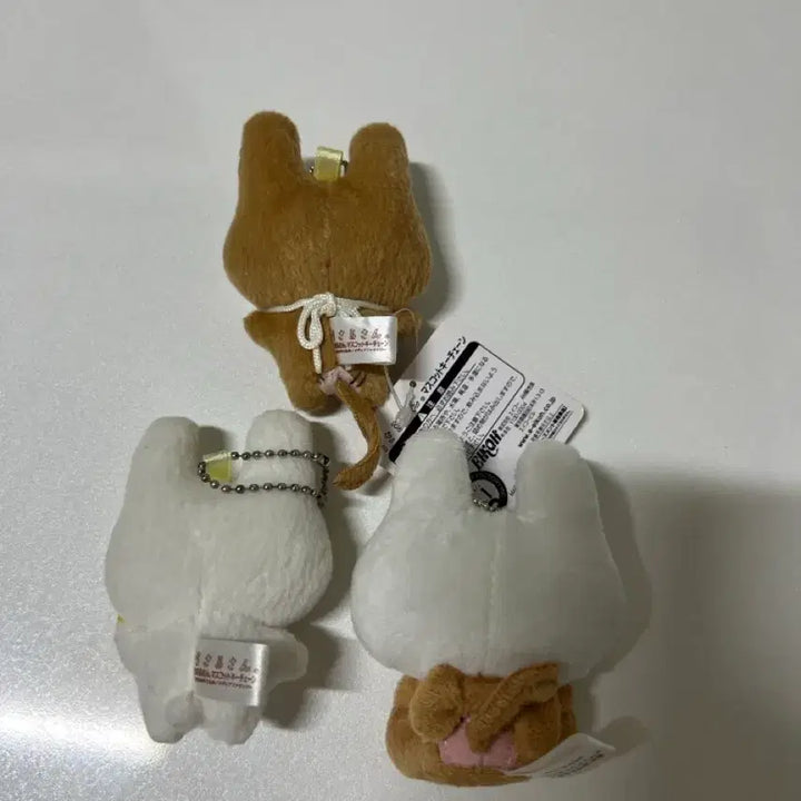 [BUNJANG] Usaru-san 3 Types Bundle Set / 우사루상 3종 일괄