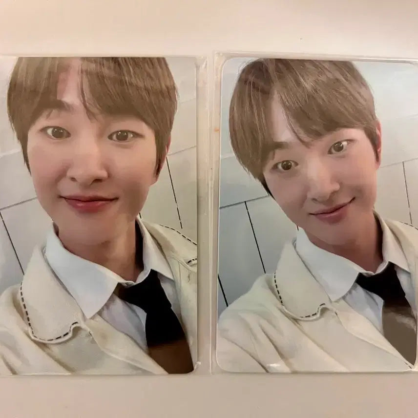 [BUNJANG] OneU O! NEW DAY Photocard Set / 온유 포카 24년  O! NEW DAY 굿즈 포카
