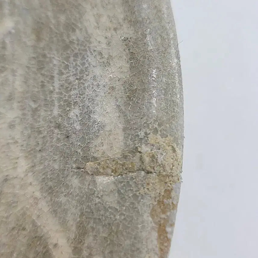 [BUNJANG] Antique Celadon Porcelain Plate / 인화문 접시