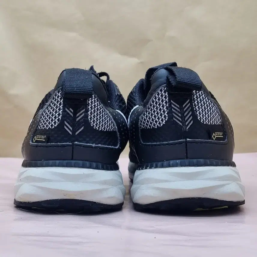 [BUNJANG] Descente Gore-Tex Running Shoes 260 / 데상트 고어텍스 런닝화 260