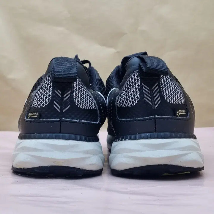[BUNJANG] Descente Gore-Tex Running Shoes 260 / 데상트 고어텍스 런닝화 260