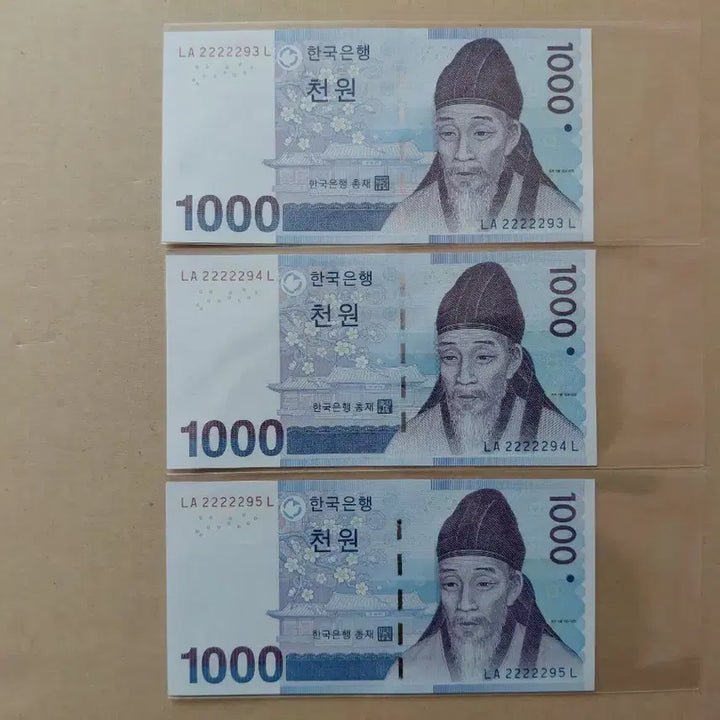 [SOLD OUT] 특이 연결 번호 (3종) 오리지널 [파이브카]