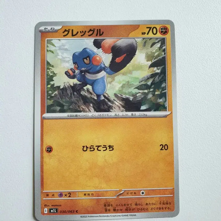 [BUNJANG] Pokemon 삐딱구리 Card (Japanese Version) / 일판/삐딱구리 포켓몬카드