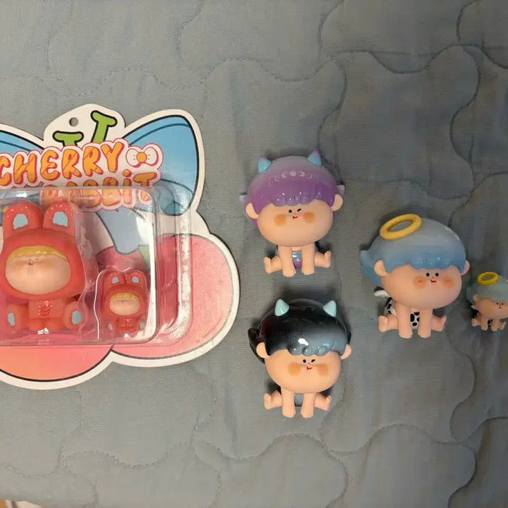 [BUNJANG] Amlls Card Box / Amlls 아마릴리스