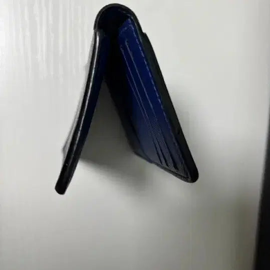 [SOLD OUT] 루이비통 카드지갑 오거나이저 블루