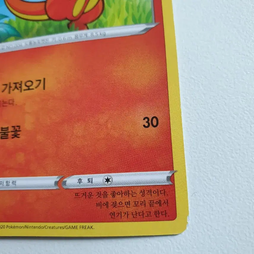 [BUNJANG] Pokemon Charizard Card Set (Japanese &amp; Korean Versions) / 일판/한판/파이리 포켓몬카드
