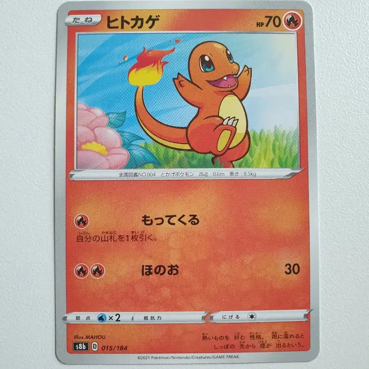 [BUNJANG] Pokemon Charizard Card Set (Japanese &amp; Korean Versions) / 일판/한판/파이리 포켓몬카드