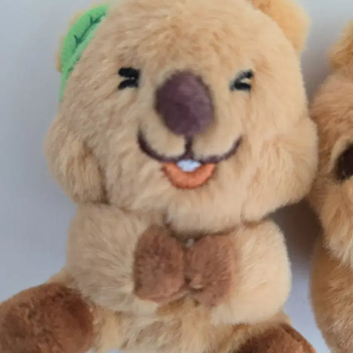 [BUNJANG] Quokka Doll Keyring Set / 쿼카 인형 키링