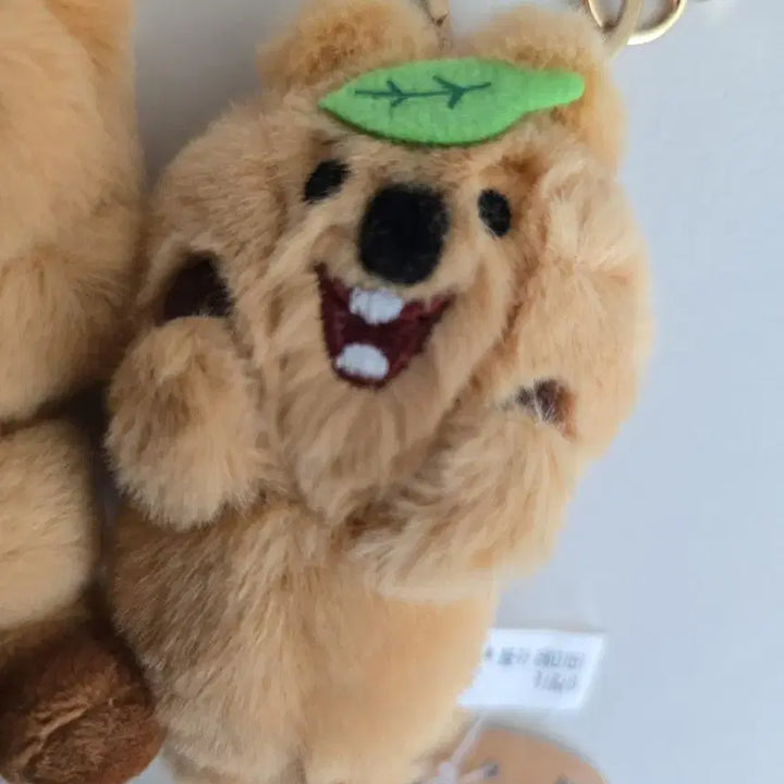 [BUNJANG] Quokka Doll Keyring Set / 쿼카 인형 키링