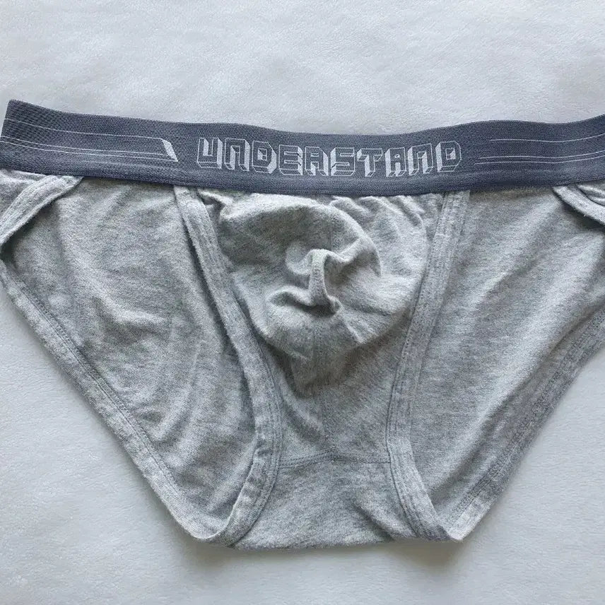 [BUNJANG] Understand Sport Low-Rise Briefs / 언더스탠드  스포츠 삼각팬티  남자팬티 남성속옷 판매