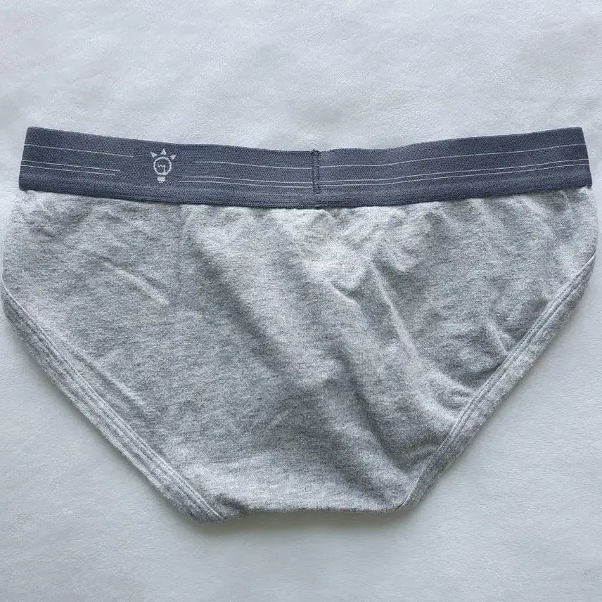 [BUNJANG] Understand Sport Low-Rise Briefs / 언더스탠드  스포츠 삼각팬티  남자팬티 남성속옷 판매