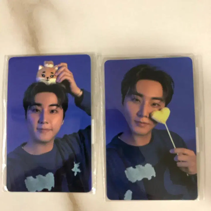 [BUNJANG] DAY6 Young K Concert Photocard Bundle Set / 데이식스 영케이 클콘 포카 일괄