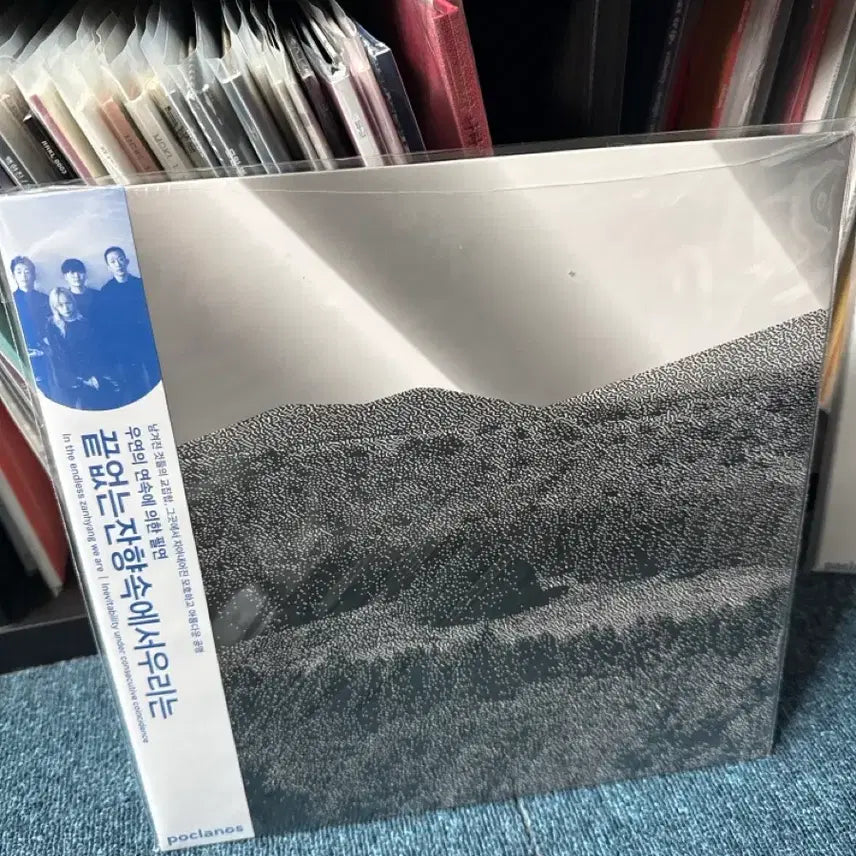 [BUNJANG] End of the Scent (끝잔향) We Are in the Endless Scent LP / 끝잔향 끝없는잔향속에서우리는 lp