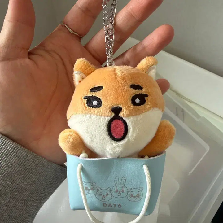 [SOLD OUT] 데이식스 일본굿즈 백참 케(바배가능)