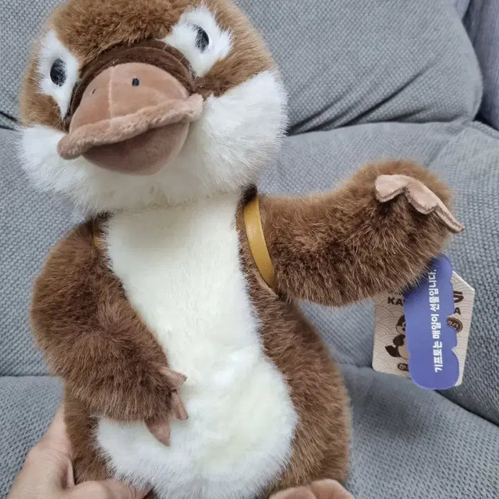 [BUNJANG] Kawafura Platypus Medium Plush / 카와푸라 오리너구리 중형인형