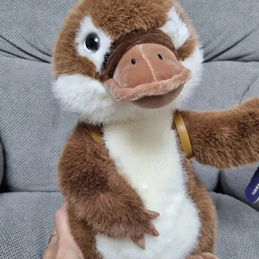 [BUNJANG] Kawafura Platypus Medium Plush / 카와푸라 오리너구리 중형인형
