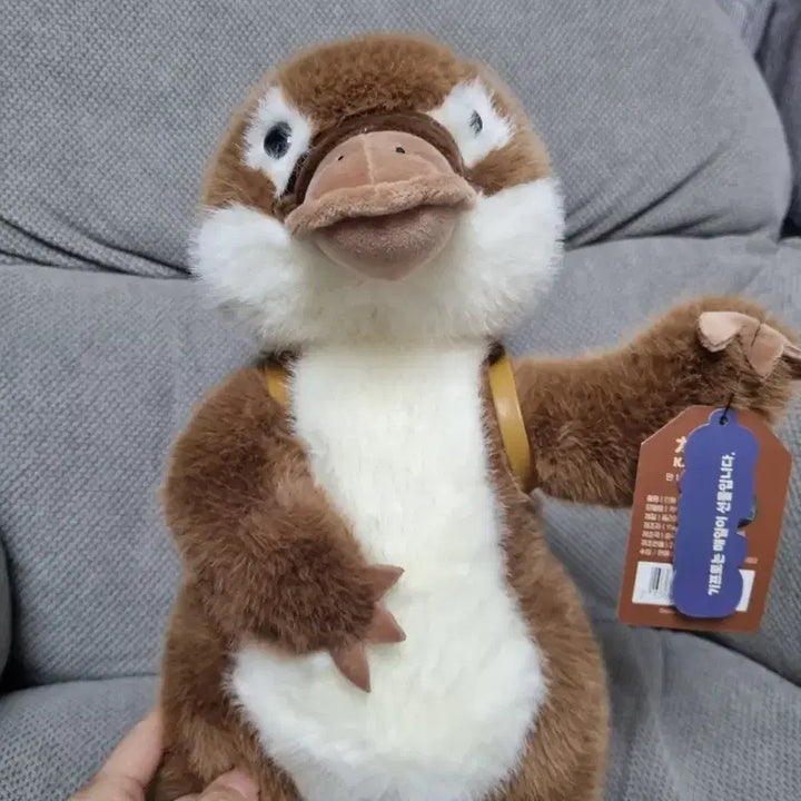 [BUNJANG] Kawafura Platypus Medium Plush / 카와푸라 오리너구리 중형인형