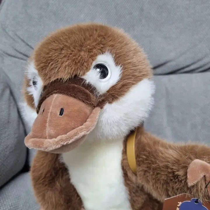 [BUNJANG] Kawafura Platypus Medium Plush / 카와푸라 오리너구리 중형인형