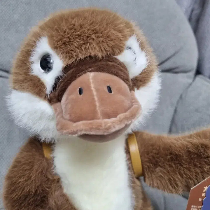 [BUNJANG] Kawafura Platypus Medium Plush / 카와푸라 오리너구리 중형인형