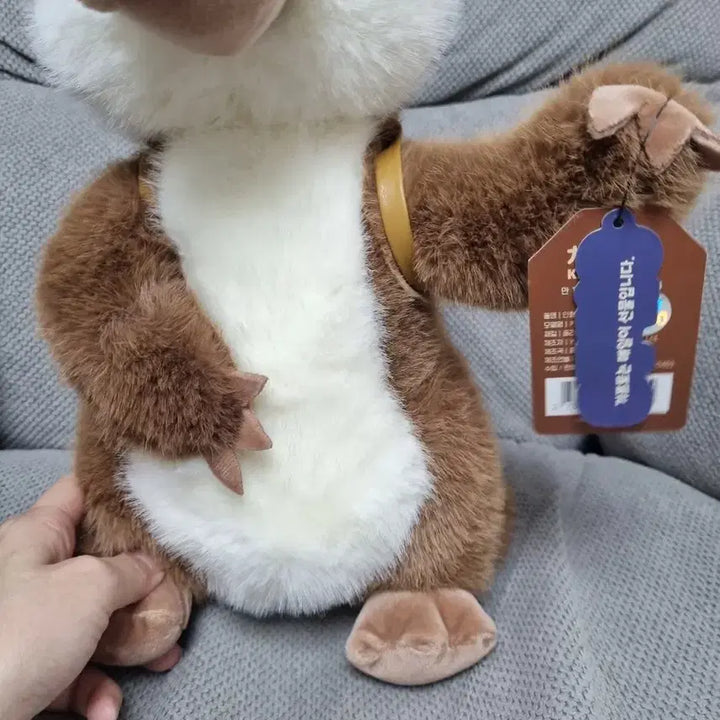[BUNJANG] Kawafura Platypus Medium Plush / 카와푸라 오리너구리 중형인형