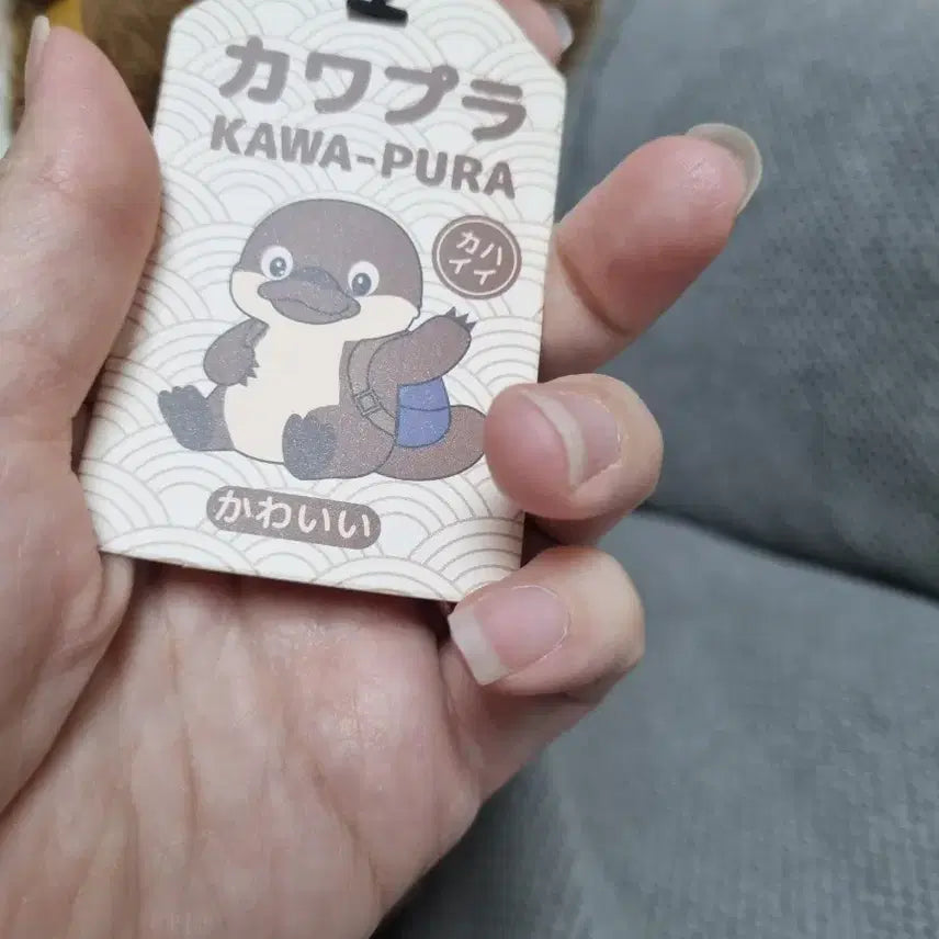 [BUNJANG] Kawafura Platypus Medium Plush / 카와푸라 오리너구리 중형인형