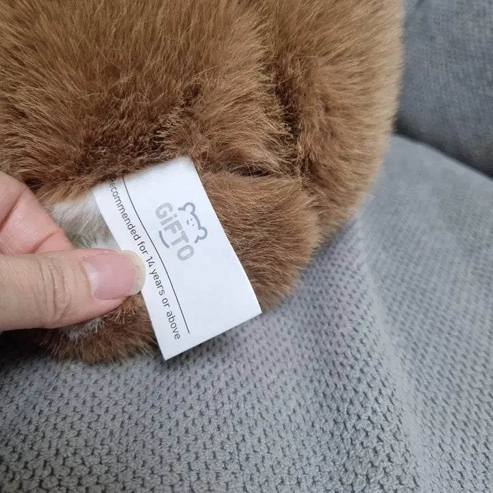 [BUNJANG] Kawafura Platypus Medium Plush / 카와푸라 오리너구리 중형인형