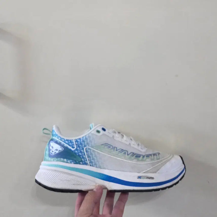 [BUNJANG] Dynafit Pista Run Rise Foam Blue Running Shoes / [270] 다이나핏 피스테런 라이즈폼 블루ㅡ최저가