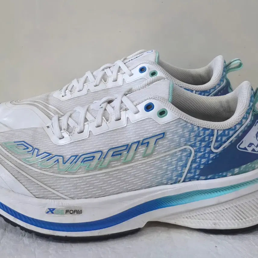 [BUNJANG] Dynafit Pista Run Rise Foam Blue Running Shoes / [270] 다이나핏 피스테런 라이즈폼 블루ㅡ최저가
