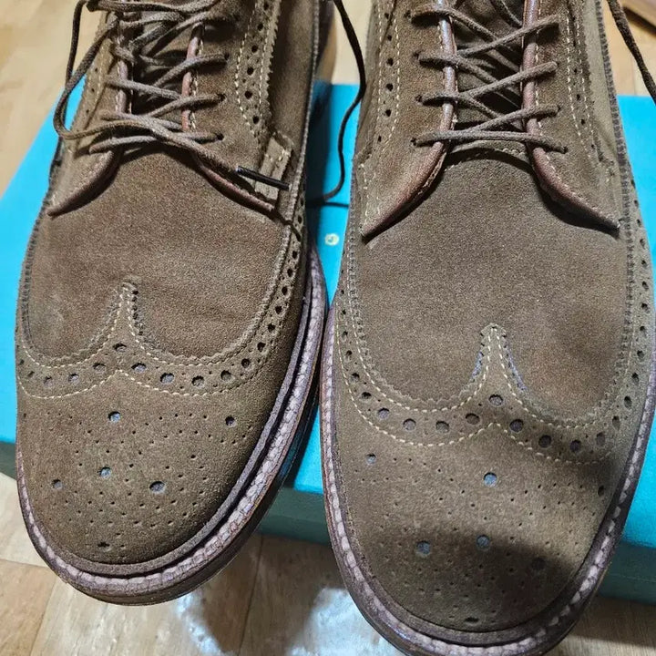 [BUNJANG] Alden 9794 Longwing Snuff Suede Shoes / 알든 9794 롱윙 스너프색상 베리라스트 8D