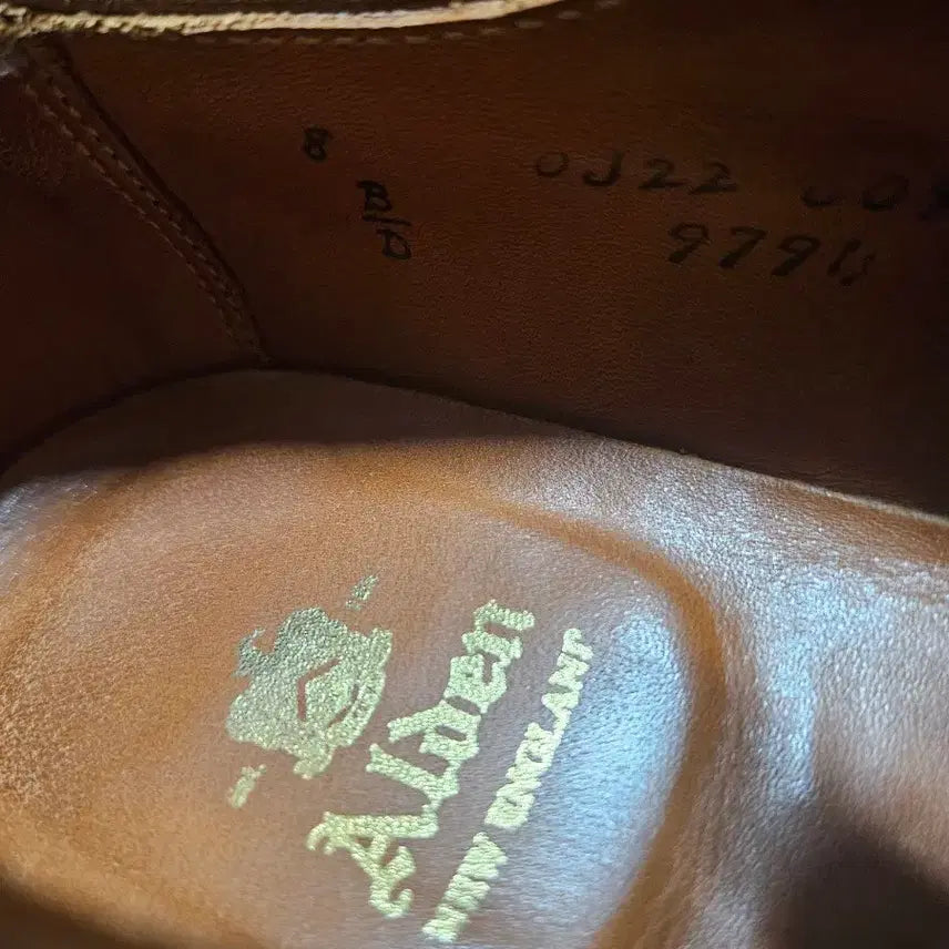 [BUNJANG] Alden 9794 Longwing Snuff Suede Shoes / 알든 9794 롱윙 스너프색상 베리라스트 8D