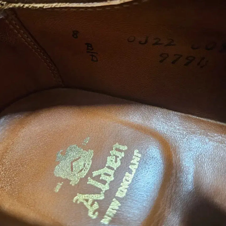 [BUNJANG] Alden 9794 Longwing Snuff Suede Shoes / 알든 9794 롱윙 스너프색상 베리라스트 8D
