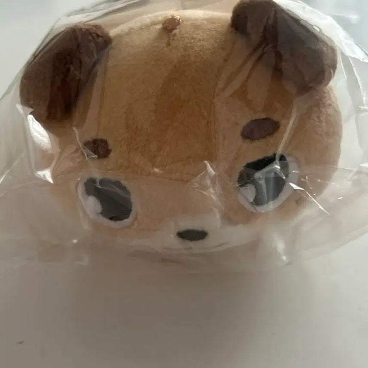 [BUNJANG] DAY6 YOONDOWOON Denimals Plush / 데니멀즈 플러쉬 라잉 돈 윤도운