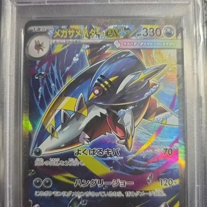 [BUNJANG] Pokemon Mega Sharpedo EX Special Art PSA 10 Card / @특가 psa10  메가 샤크니아 ex sar 일판  인페르노 X