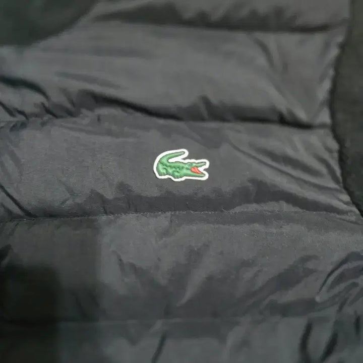 [BUNJANG] Lacoste Knit Padded Duck Down Jacket / 라코스테 니트패딩(마지막할인)