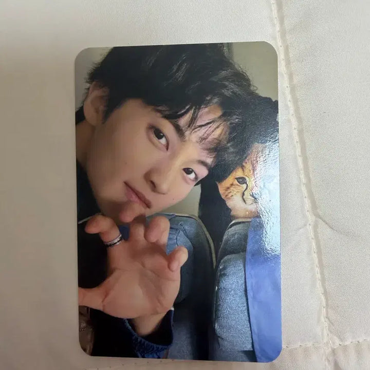 [BUNJANG] NCT Mark MD Cup + Photocard / 마크 md 컵 + 포카