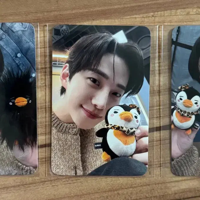 [BUNJANG] Lee Junho Pengpeng Pop-up POB Photocard Bundle Set / 일괄) 이준호 펭펭이 팝업 온라인 5만원 특전 포카 포토카드