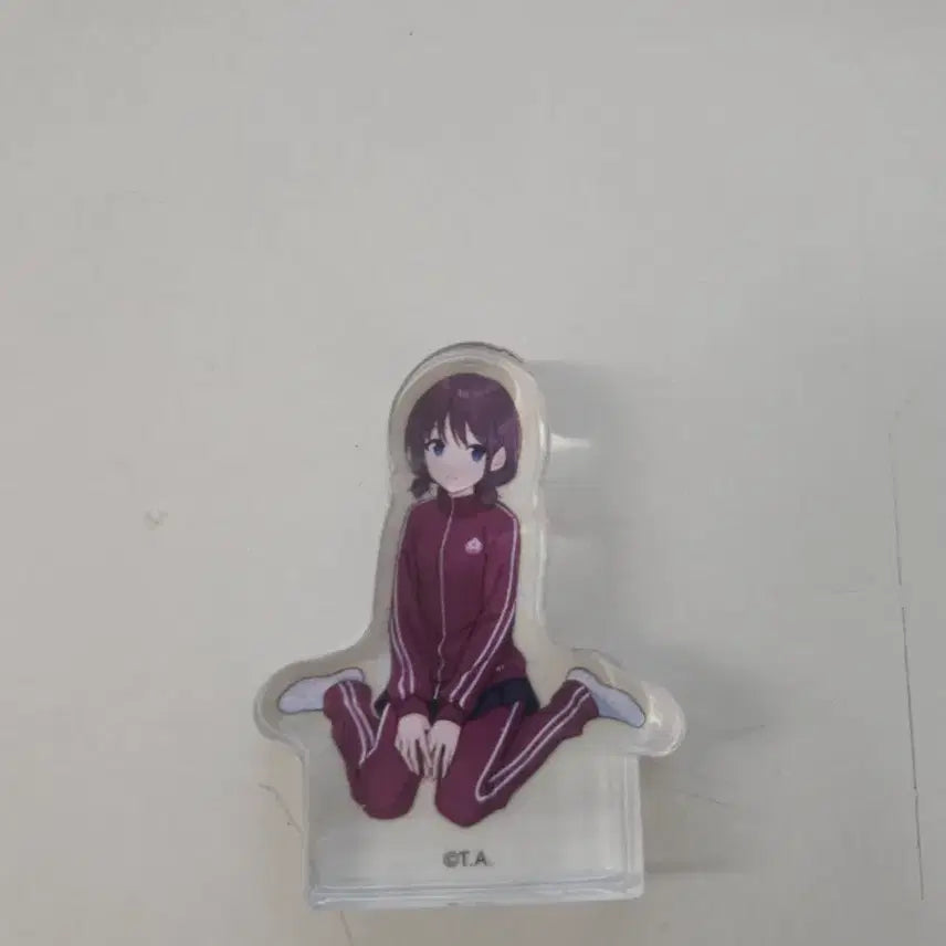 [SOLD OUT] 걸즈밴드크라이 니나 굿즈패키지 코롯토
