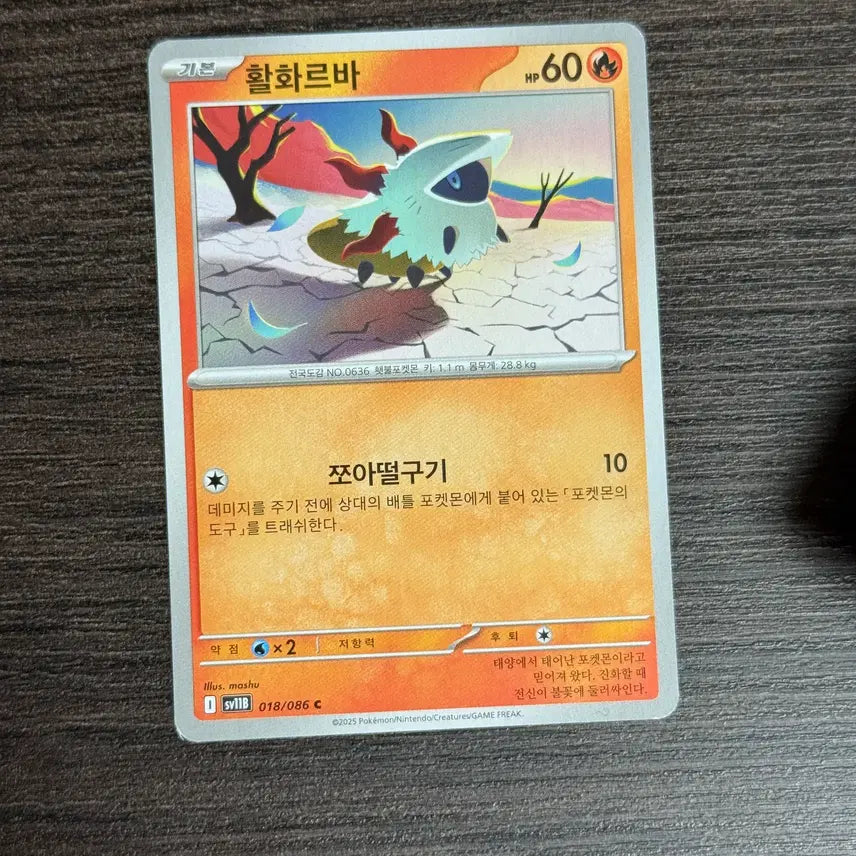 [BUNJANG] Pokemon Volcarona Trading Cards / 포켓몬카드 활화르바 판매 2