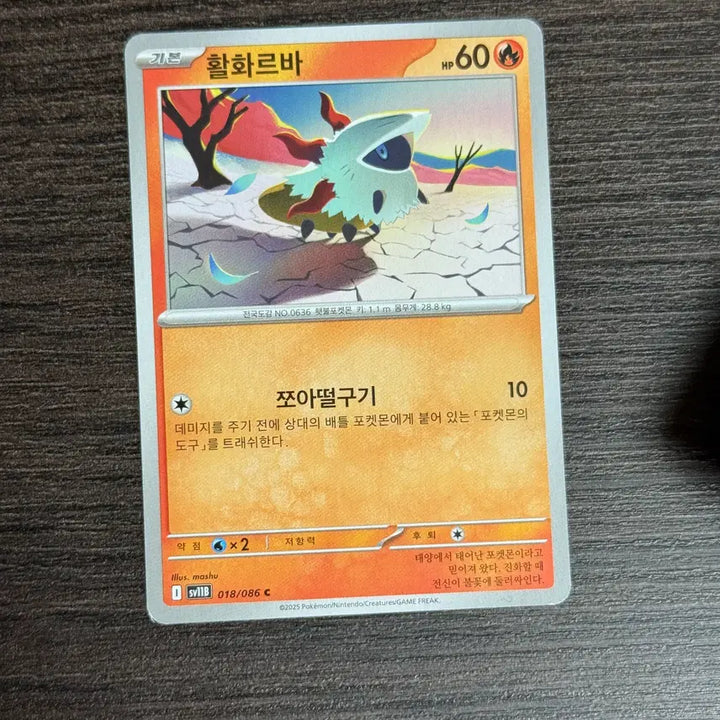 [BUNJANG] Pokemon Volcarona Trading Cards / 포켓몬카드 활화르바 판매 2