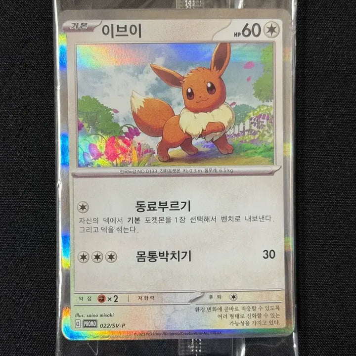 [SOLD OUT] 포켓몬 카드 이브이 코리안리그 프로모
