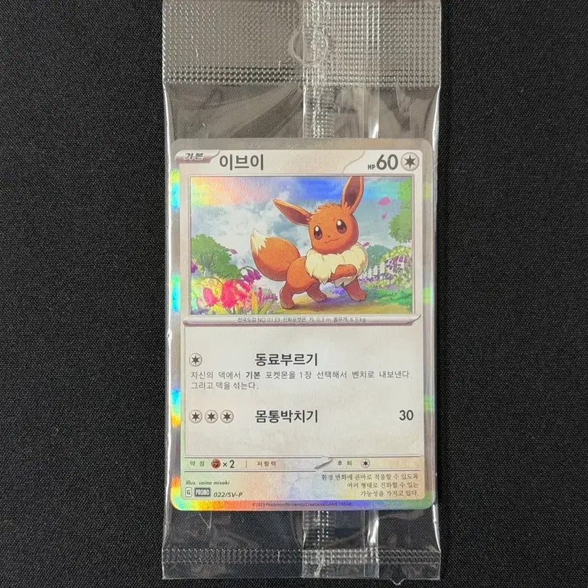 [SOLD OUT] 포켓몬 카드 이브이 코리안리그 프로모