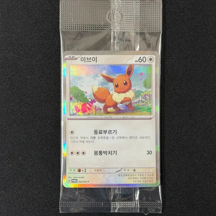 [SOLD OUT] 포켓몬 카드 이브이 코리안리그 프로모