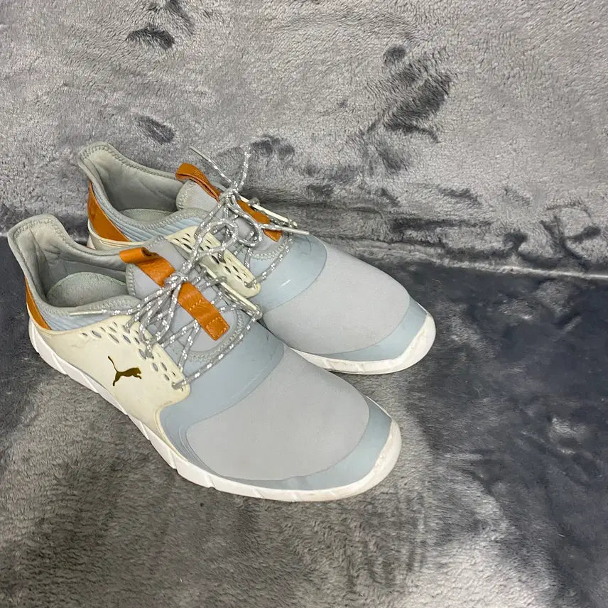 [BUNJANG] Puma Ignite Golf Shoes 280 / 푸마 이그나이트 골프화 280