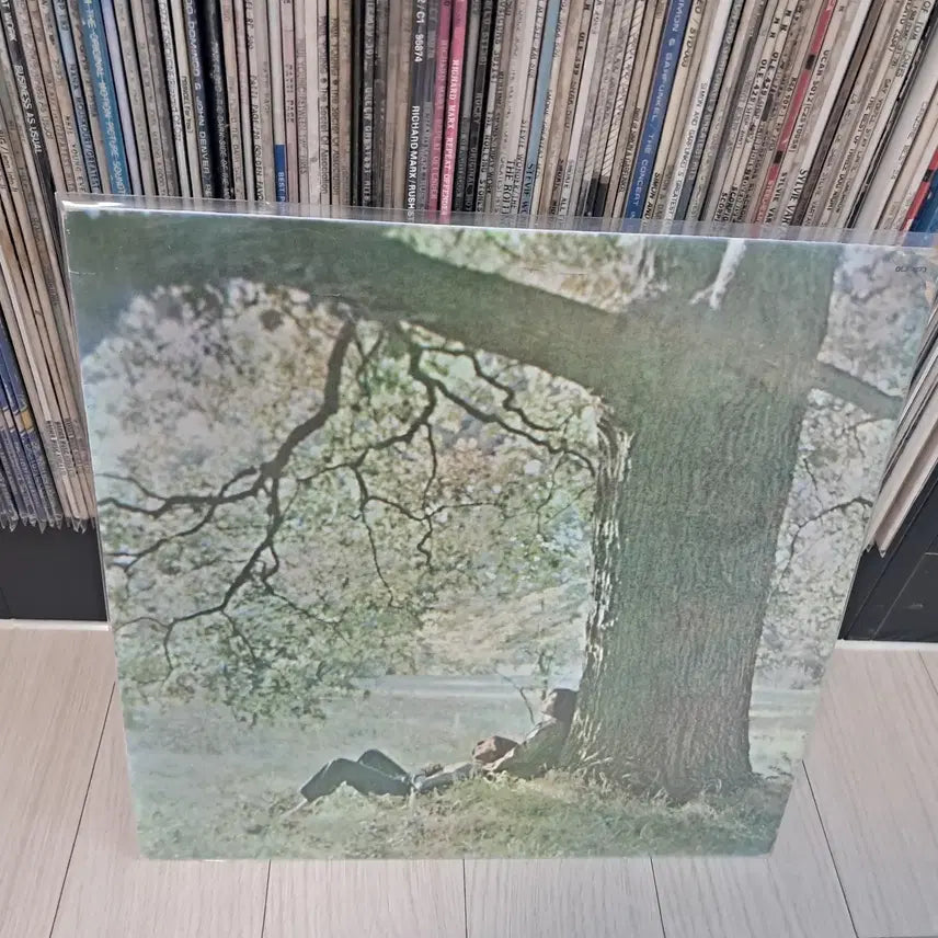 [BUNJANG] John Lennon 1975 Vinyl Record / LP..존레논(비틀즈)1975년