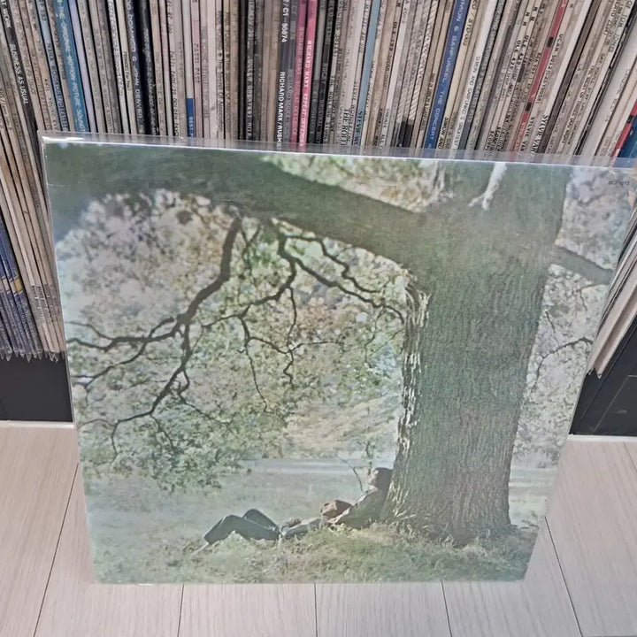 [BUNJANG] John Lennon 1975 Vinyl Record / LP..존레논(비틀즈)1975년